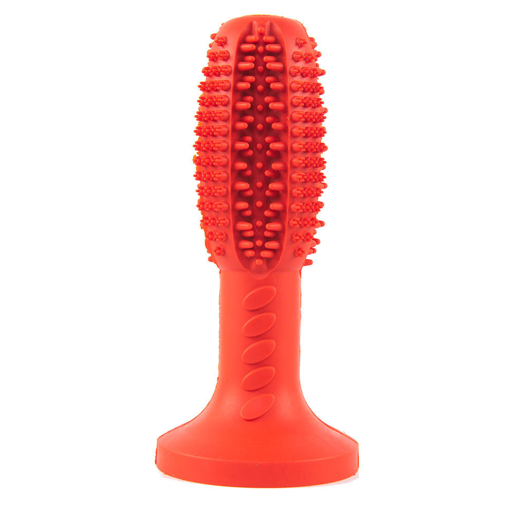 Brosse à dents pour chien - Hygiène dentaire efficace - Papapattes