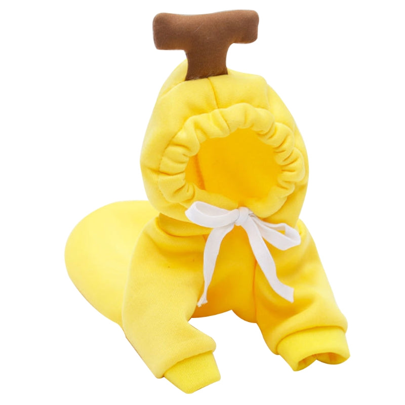 Vêtements Douillets pour Chihuahua - Automne Hiver - Papapattes