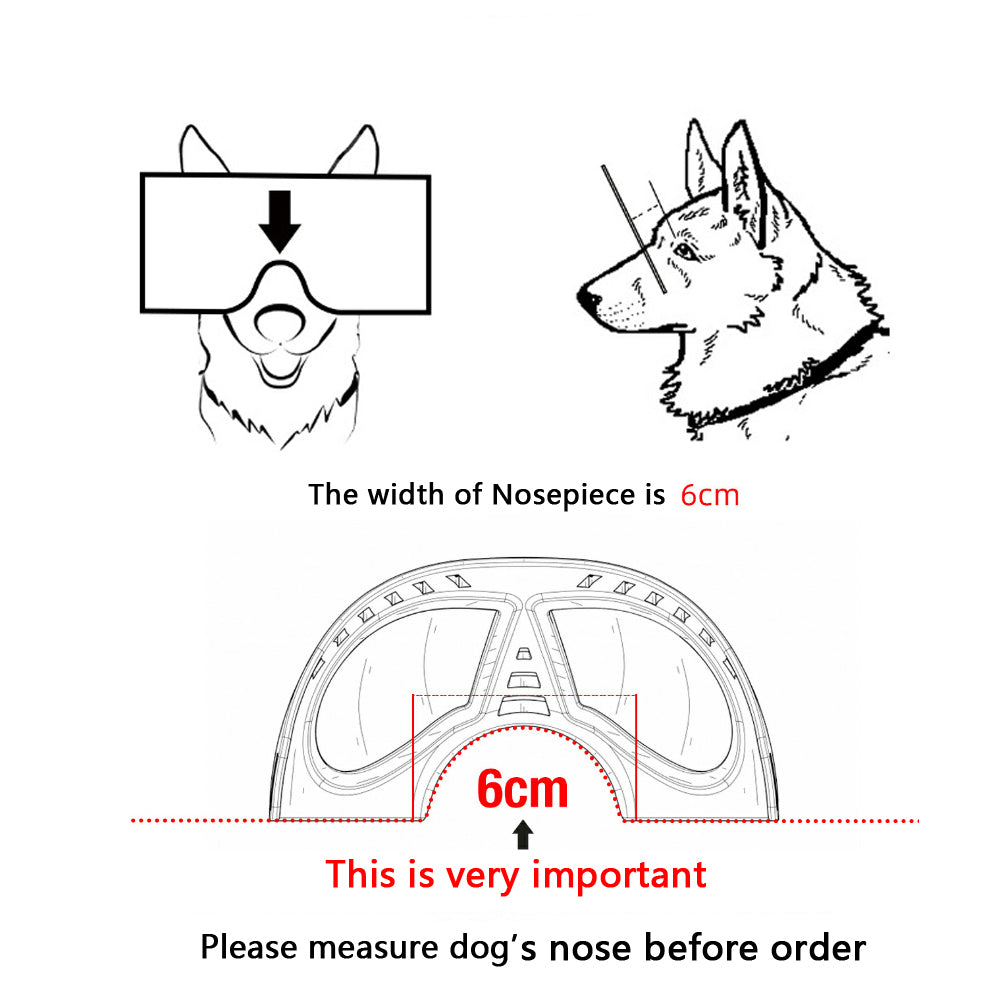 Lunettes de Protection Étanches pour Chien - Papapattes