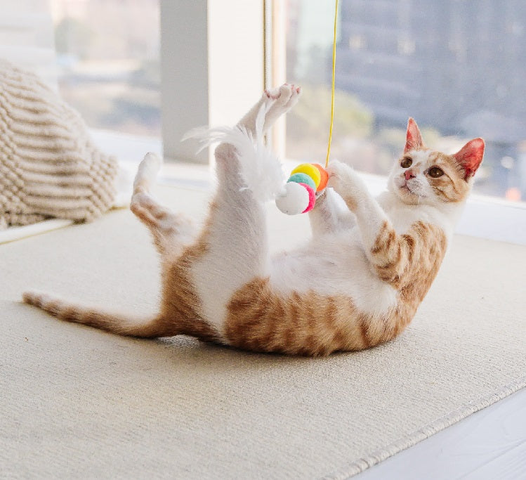 95505ccb97b8c5e7977d044935fe2f0a