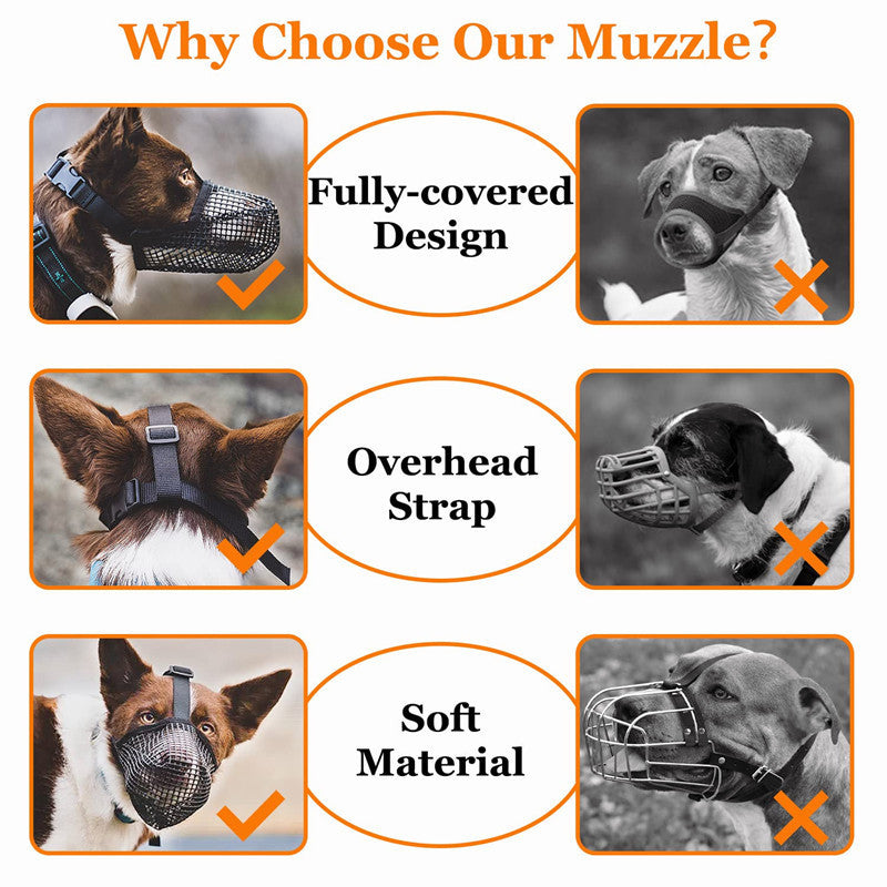 Masque de protection pour chien - Papapattes