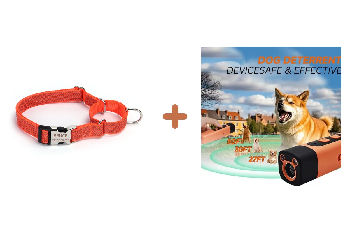Pack kit-dressage-hypersku