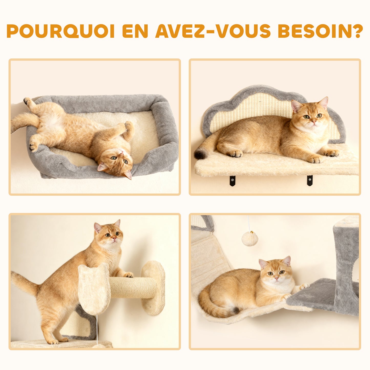 Étagères murales pour chat ensemble de meubles muraux 6 pièces hamac à bulles en acrylique niche hamac échelle beige-6