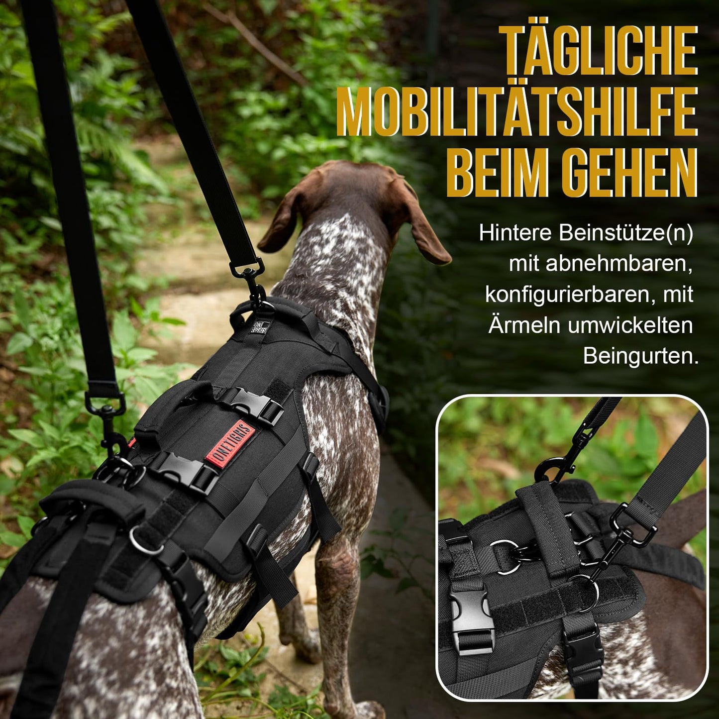 Gilet tactique pour chien avec harnais confortable