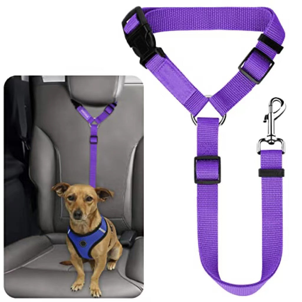 Laisse pour chien, ceinture de sécurité, grand chien