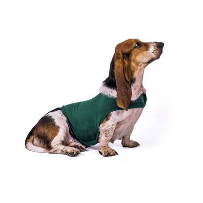 Veste Anti-Anxiété pour Chien et Chat - Papapattes