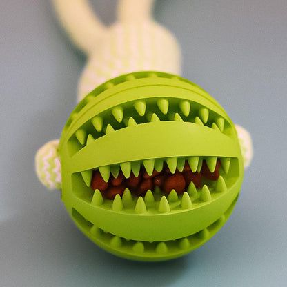Balles interactives pour petits chiens, combinant jeu et récompenses.