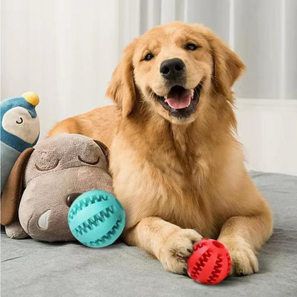 Balles interactives pour petits chiens, combinant jeu et récompenses.