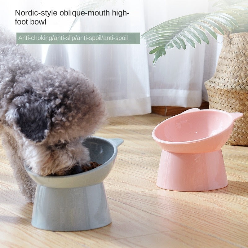Gamelle surélevée pour chats avec protection inclinée