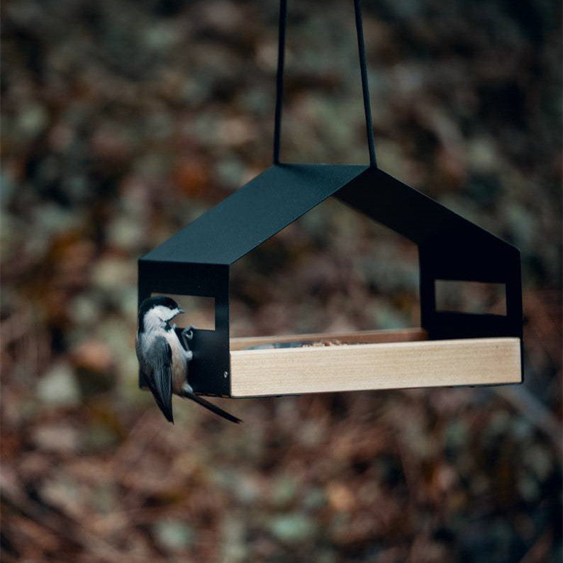 Mangeoire suspendue élégante pour oiseaux - Papapattes