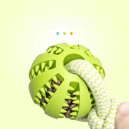 Balles interactives pour petits chiens, combinant jeu et récompenses.
