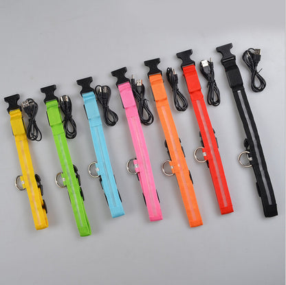 Collier LED lumineux pour chien et chat, visibilité accrue