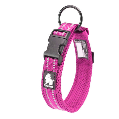 Collier anti-étranglement pour chien, sécurité renforcée et confort absolu.