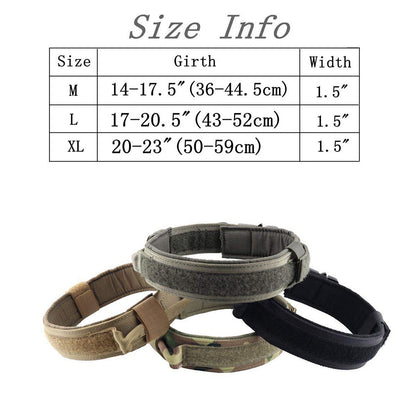 Collier en nylon résistant pour chien, alliant sécurité et confort supérieur.