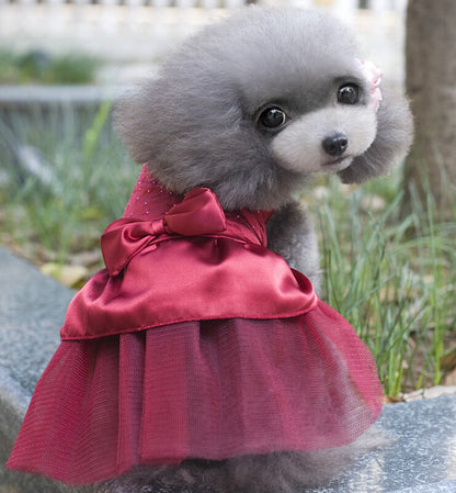 Robe de Mariage pour Chien - Élégance et Confort - Papapattes