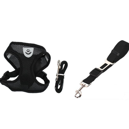 Ceinture de sécurité pour animaux, trajet en toute sécurité
