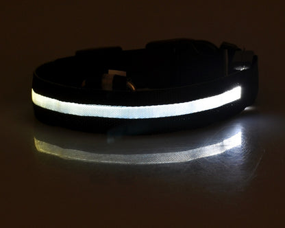 Collier LED lumineux pour chien et chat, visibilité accrue