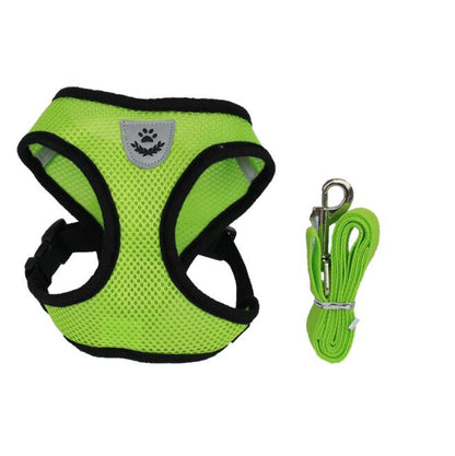 Ceinture de sécurité pour animaux, trajet en toute sécurité