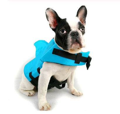 Gilet de sauvetage amusant requin pour chien à la plage.