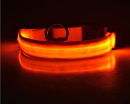 Collier LED lumineux pour chien et chat, visibilité accrue