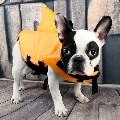 Gilet de sauvetage amusant requin pour chien à la plage.