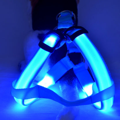 Harnais et laisse lumineux pour chien, sécurité accrue lors des sorties nocturnes.