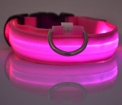 Collier LED lumineux pour chien et chat, visibilité accrue