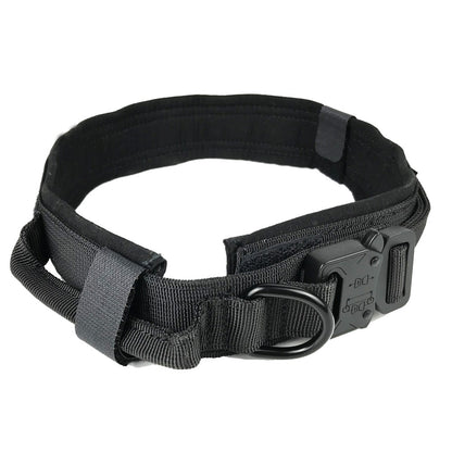 Collier en nylon résistant pour chien, alliant sécurité et confort supérieur.