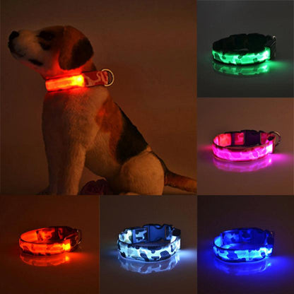 Collier lumineux camouflage, idéal pour chiens et chats en soirée.