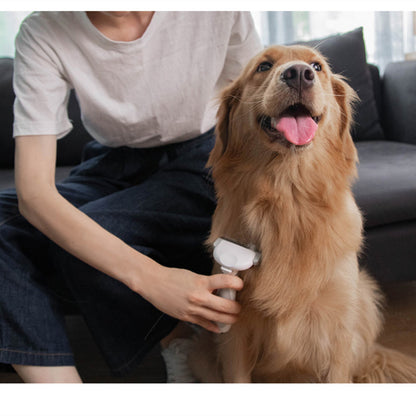 Outil de toilettage professionnel pour garder votre animal élégant.