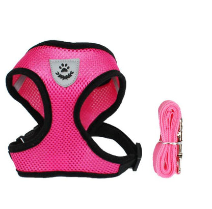 Ceinture de sécurité pour animaux, trajet en toute sécurité