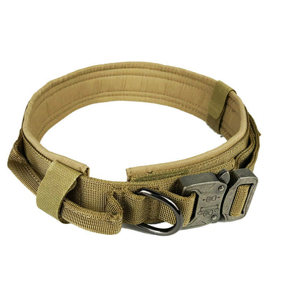 Collier en nylon résistant pour chien, alliant sécurité et confort supérieur.