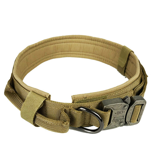 Collier en nylon résistant pour chien, alliant sécurité et confort supérieur.