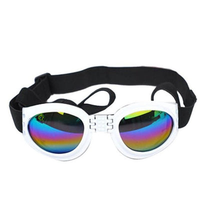 Lunettes de soleil pliables pour chien, style et protection contre les rayons UV.