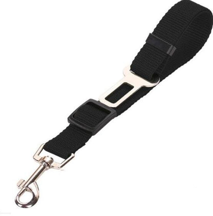 Ceinture de sécurité pour animaux, trajet en toute sécurité