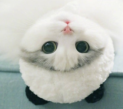 Chapeau panda pour animaux - Papapattes