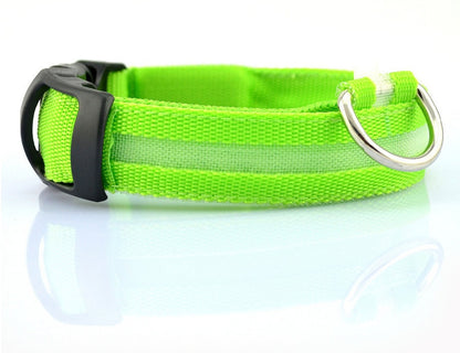 Collier LED lumineux pour chien et chat, visibilité accrue