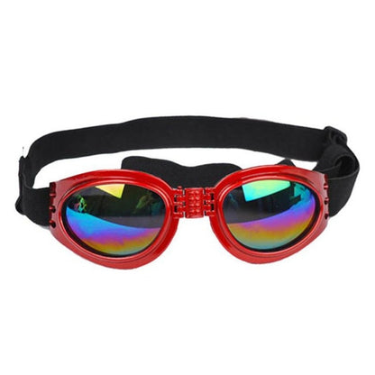 Lunettes de soleil pliables pour chien, style et protection contre les rayons UV.