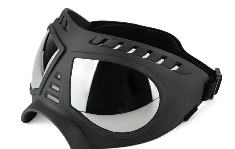 Lunettes de Protection Étanches pour Chien - Papapattes