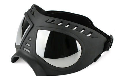 Lunettes de Protection Étanches pour Chien - Papapattes