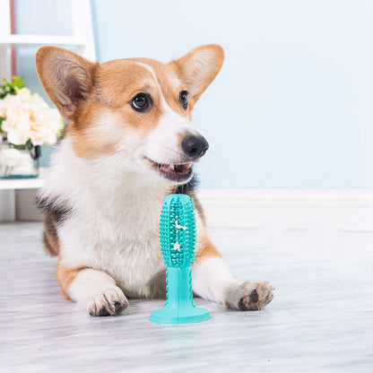 Brosse à dents pour chien - Hygiène dentaire efficace - Papapattes