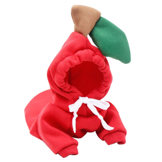 Vêtements Douillets pour Chihuahua - Automne Hiver - Papapattes