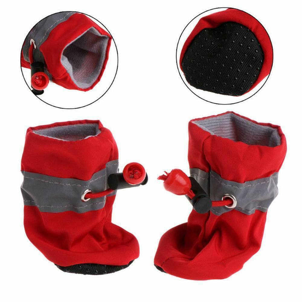 Bottes Étanches et Confortables pour Chien - Papapattes