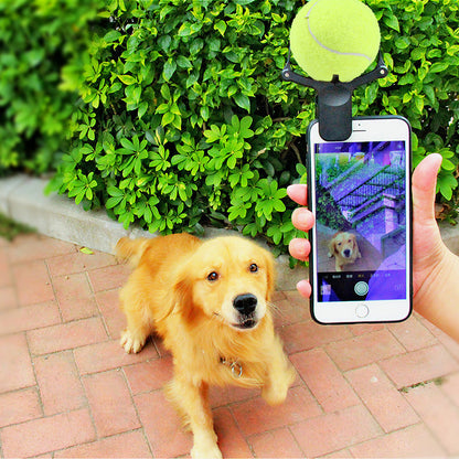 Selfies Inoubliables avec votre Animal - Papapattes