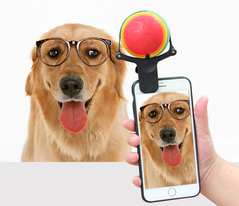 Selfies Inoubliables avec votre Animal - Papapattes
