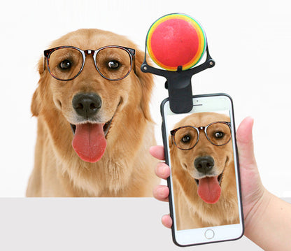 Selfies Inoubliables avec votre Animal - Papapattes