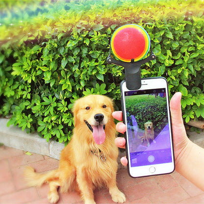 Accessoire photo pour animaux : selfies amusants avec Papapattes