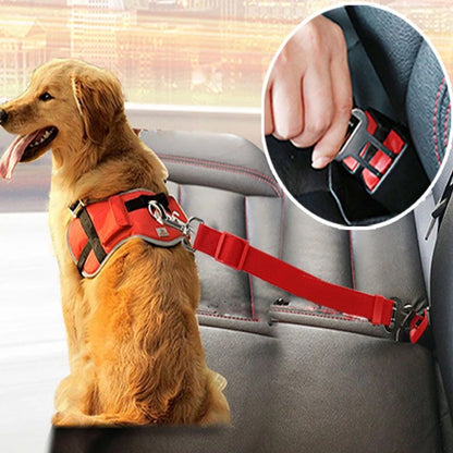 Ceinture de sécurité ajustable pour chien et chat - Papapattes