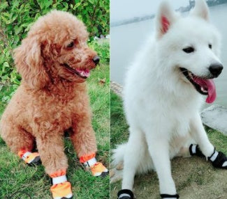 Bottes Hiver Réfléchissantes pour Chien - Papapattes
