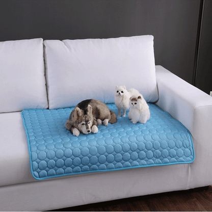 Tapis rafraîchissant portable pour animaux à utiliser à l'extérieur.
